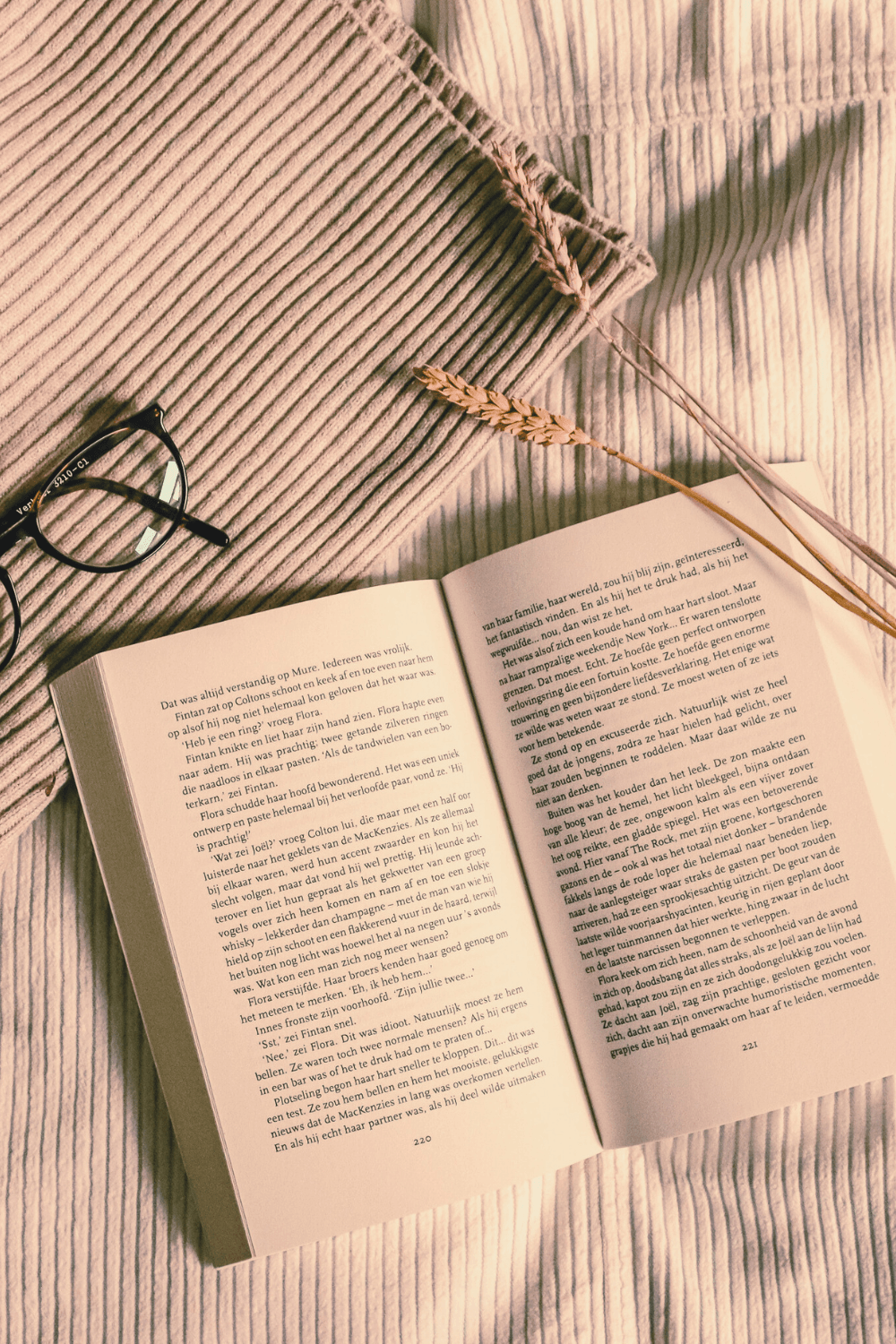 Cozy book