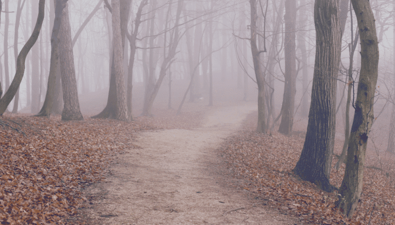 Fear of Starting Something New