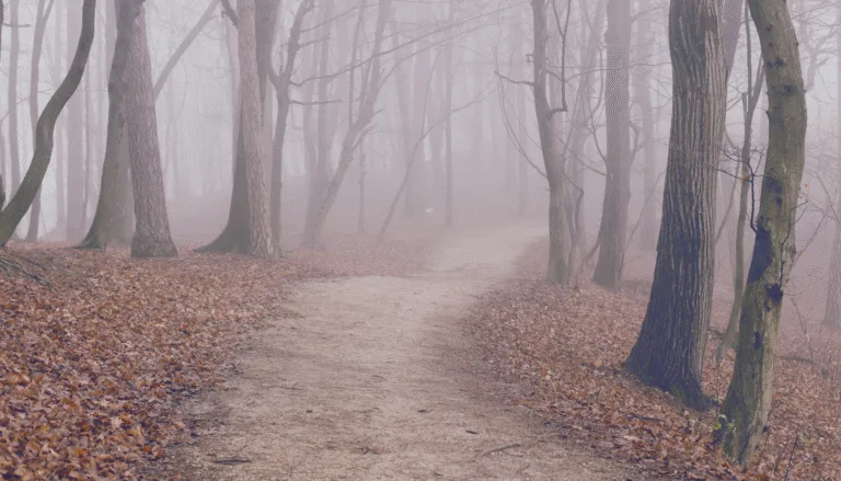 Fear of Starting Something New