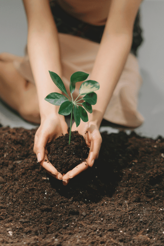 Start Small and Build Confidence