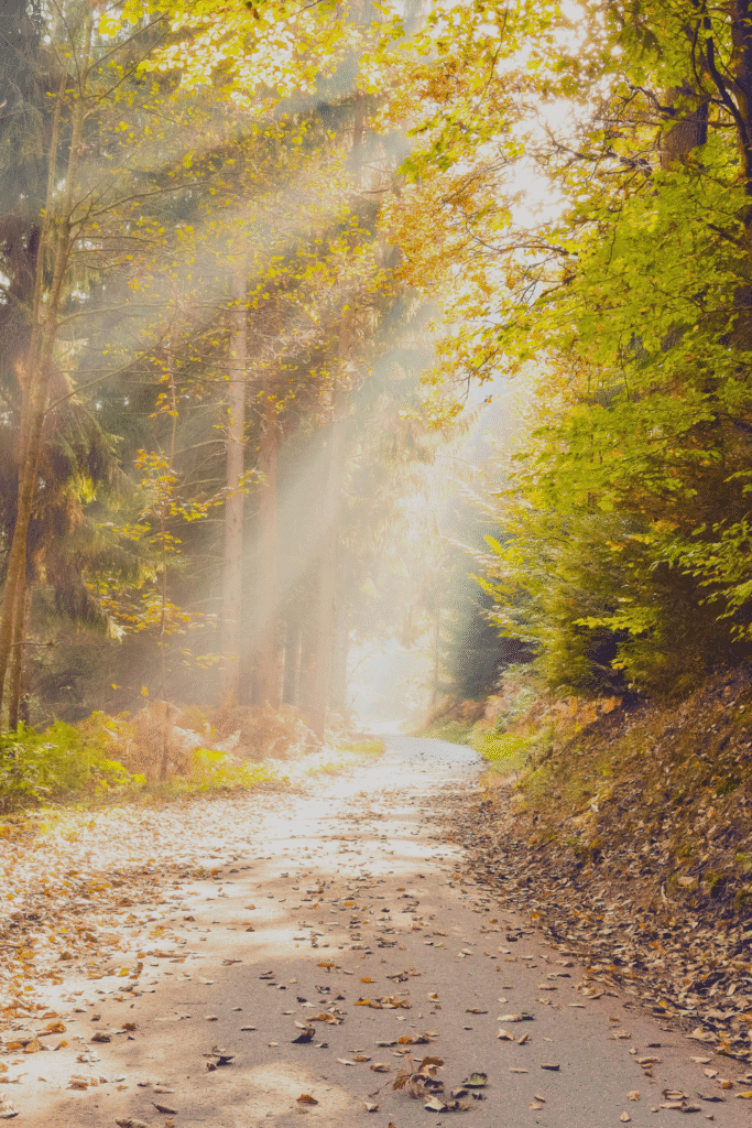 Your path to freedom